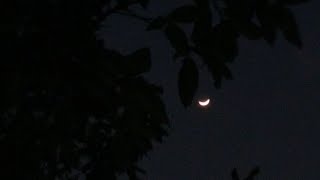 Mr.kitty- After Dark Sped Up
