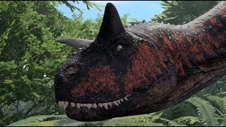 Carnotaurus: The king Doom of Dilos|The Isle Evrima|A Solo  Experience IN PC LIV