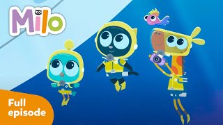 Milo, Marine Biologist Full Episode