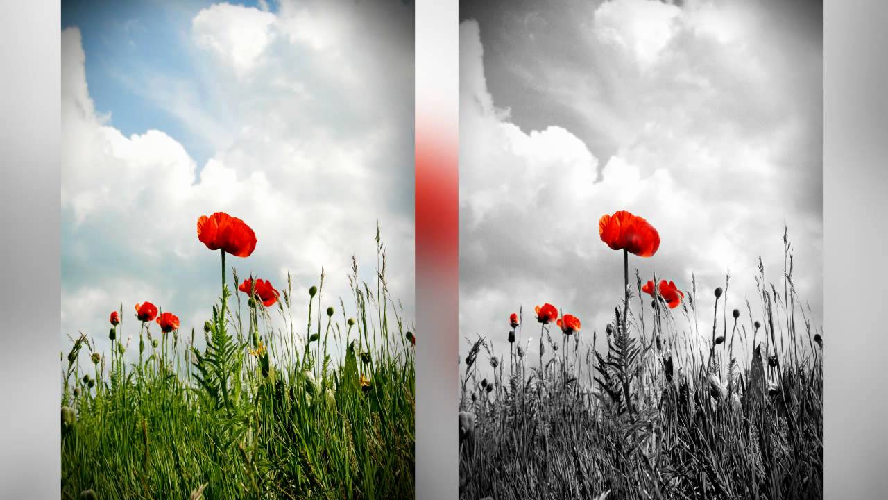How To Color A Selection In Photoshop