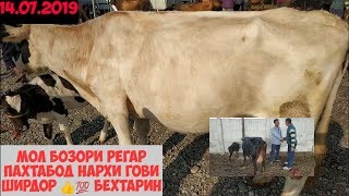 Видео Мол бозори Регар Турсунзаде Тоҷикистон 14.07.2019 гови ширдор от USMON REGAR, Турсунзаде, Таджикистан