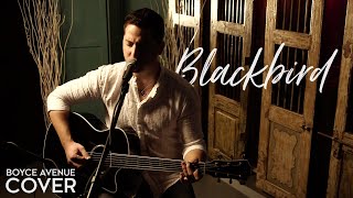 Watch Boyce Avenue Blackbird video