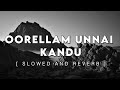 Oorellaam Unnai Kandu | Slowed and Reverb | Nanbenda | Tamil Slowed and Reverb | Reverbs Feelings