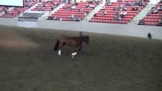 Maverick Calgary 1
