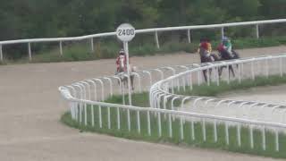 Video 24.09.2017 - Priz "Everdy - Teleke". Rampur from Пятигорский Ипподром, Rampur, India