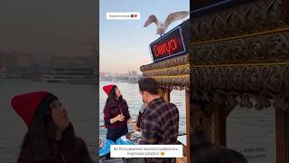 Biz Filmi Çekerlen Martılar Balıklarımızı Kapmaya Çalıştılar