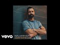Walker Hayes - Drinking Songs (Official Audio)