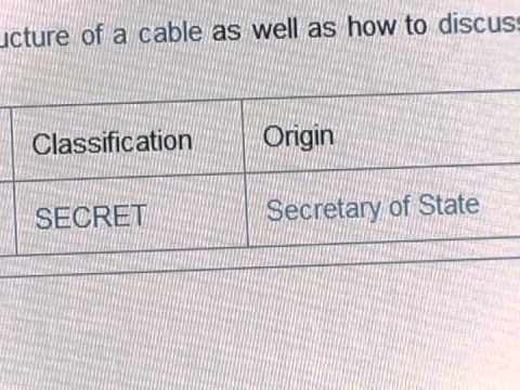 The Wire: UN rights head 'concerned' over Wikileaks pressure