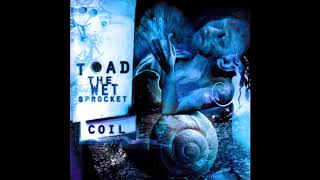 Watch Toad The Wet Sprocket Dam Would Break video
