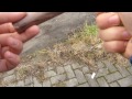 böller