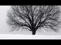 Jasper Forks - Alone (Brisby & Jingles Radio)