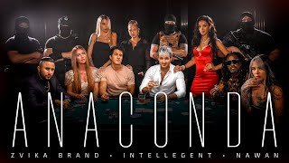 Zvika Brand, Intellegent, Nawan - Anaconda