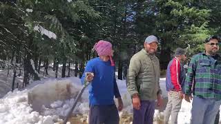 Himachal After Snow Fall