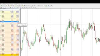 Kursy walut online forex onet