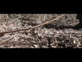 Deutscher WW2 Film mit Waffen | SS German WW2 Film Trailer | 5K HD