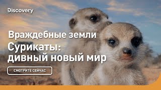 Враждебные Земли | Сурикаты: Дивный Новый Мир | Discovery