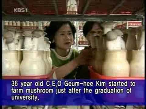 kbs news 9