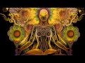 Avi Adir ~ Gayatri Mantra ~ Meditation Concert ~ Moscow 2014 Avi Adir ~ Gayatri Mantra ~ Meditation Concert ~ Moscow 2014