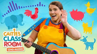 What Do You Hear? | Caitie's Classroom Sing-Along | Song Single