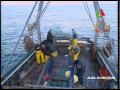 Pêche et pêcheurs à Jijel- 2
