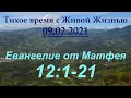 От Матфея 12:1–21 (09.02.2021)