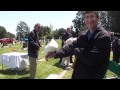 Origami Cemetery (page 1). YouTube Halloween Video Tutorials