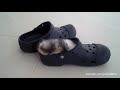 Cats and Dogs