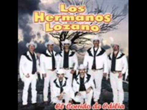 GRUPO MELAO SALVADOR grupo melao salvador: