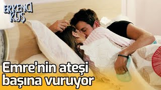 Aşkımız Dile Gelsin Erkenci Kuş