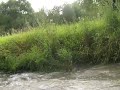 Шевроле Тахо