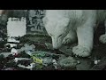 A Homeless Polar Bear in London - Ft. Jude Law and Radiohead