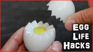 Egg Life Hacks