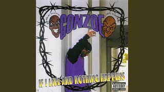 Watch Gonzoe I Got It Made video