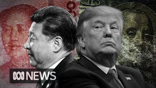What now for the US and China in 2019? | The World