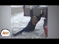 People Who Tried, but FAILED! Funniest Fails | AFV 2019