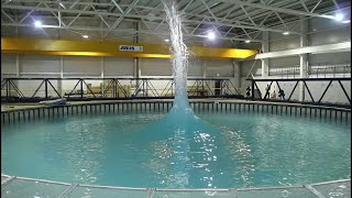 Edinburgh University FloWave Wave Sprouts: The Triple, Double and Single Sprouts of Waves