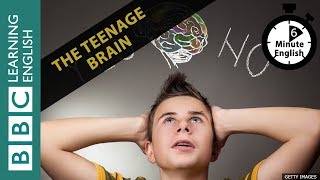 The teenage brain: 6 Minute English