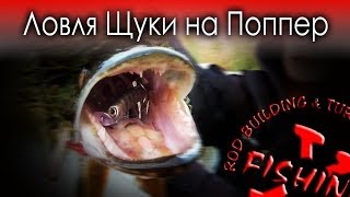 Видео о рыбалке №131