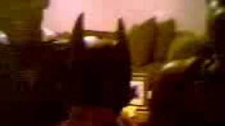 Watch Youth For Christ Everybody video