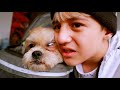 24 Horas cuidando a mi perro I Lapizin Crack