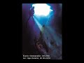 Megalodon Sighting New Zealand Dive Cave images Megalodon Sighting New Zealand Dive Cave