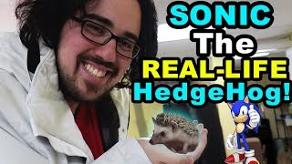 LOGAN GETTING ANOTHER NEW PET?! (A REAL HedgeHog or Snake?)