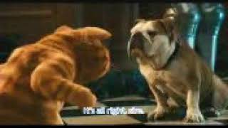 Cat And Dog Bangla Dubbing funny video....bangla funny video