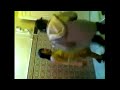 / رقص منزلي خليجيات قحاب مع شاب قمه الخلاعه 2014 hot arab dance