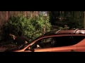 Iranian Full Movie Emigrated Birds Shahram Qadir