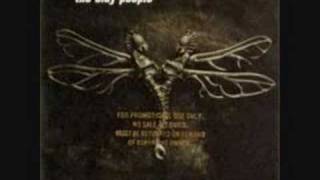 Watch Clay People Car Bomb am I Human video