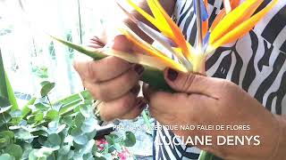Pra não dizer que não falei de Flores - Luciane Denys