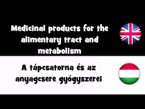 Header of Alimentary Tract