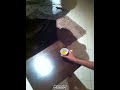 بنات خليجيات يقلدو المصريات