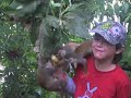 Arabic-Web-Amazon Indian village says no to eco-tourism